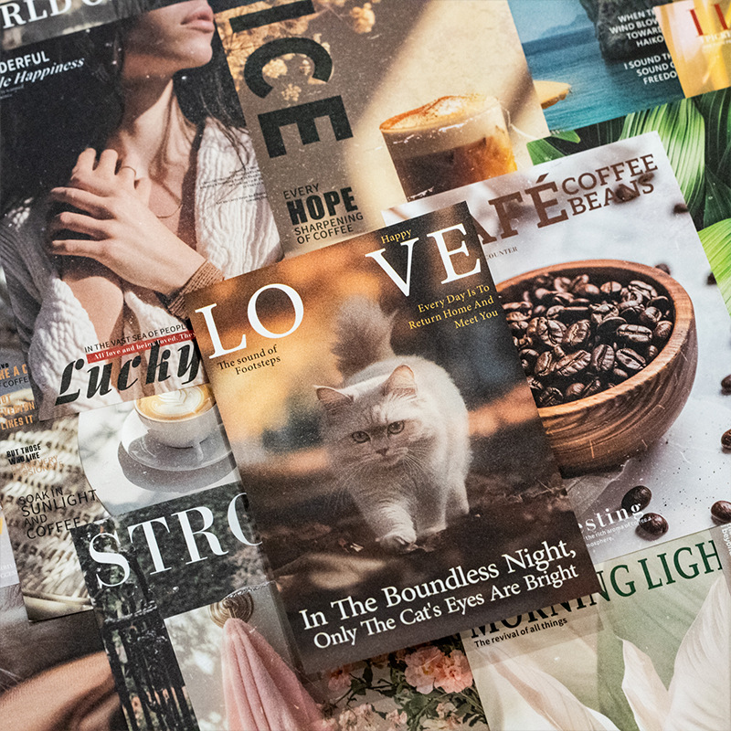 Mr.Paper 30 stks/zak Vintage T - Vintage Collectible Magazines recensie en prijs